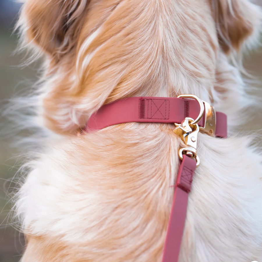 Waterproof Cloud Leash