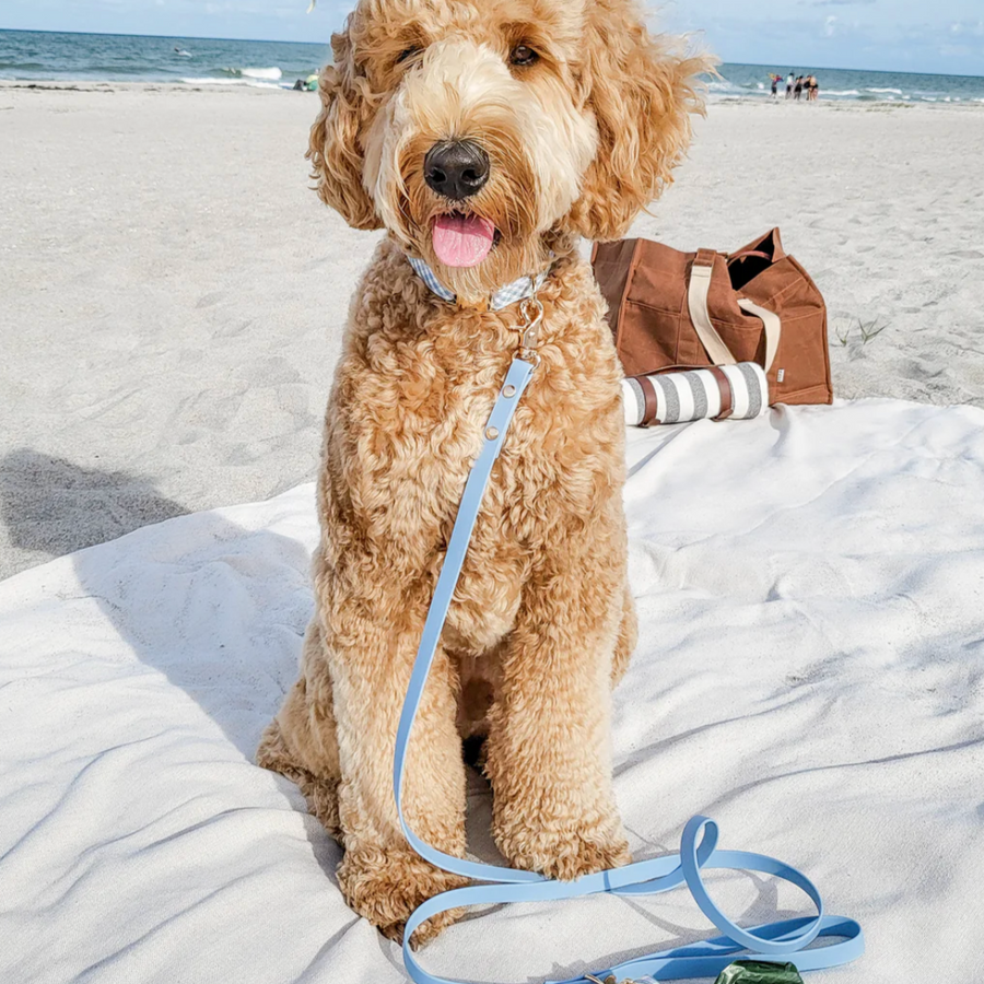 Waterproof Cloud Leash