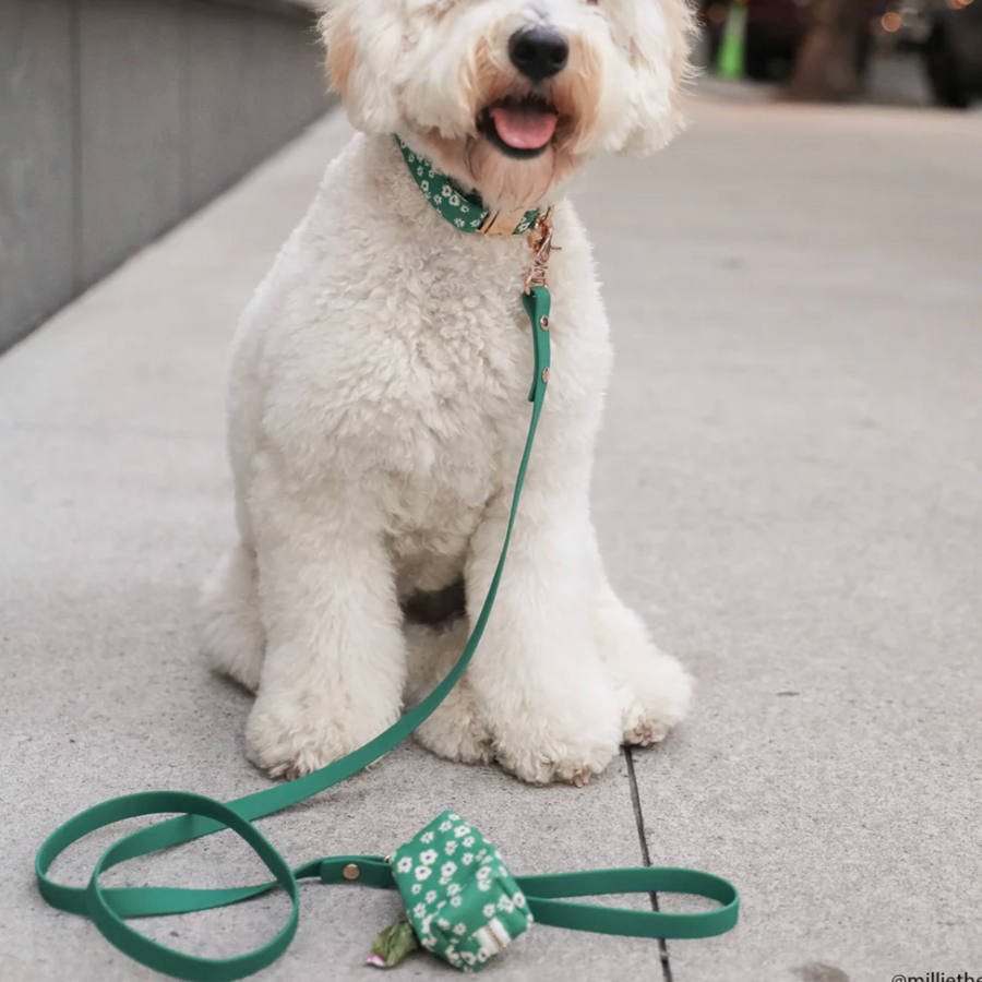 Waterproof Cloud Leash