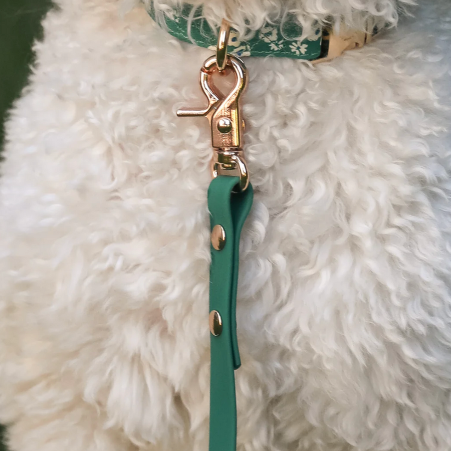 Waterproof Cloud Leash