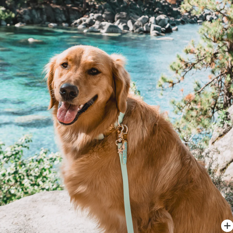 Waterproof Cloud Leash