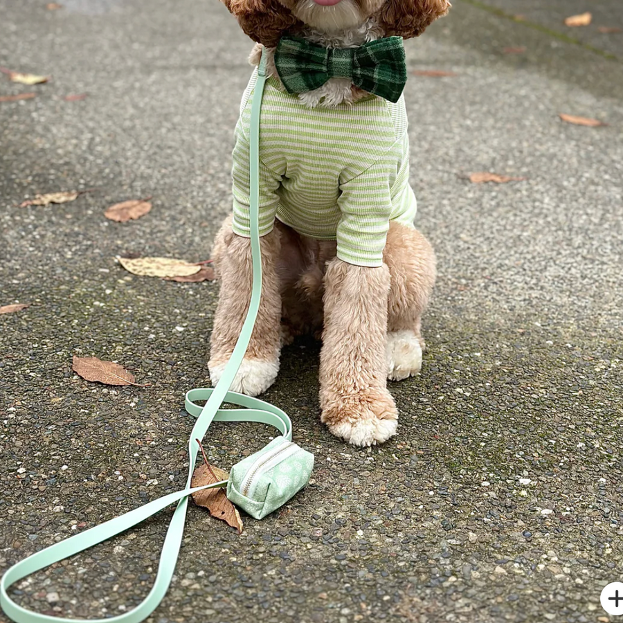 Waterproof Cloud Leash