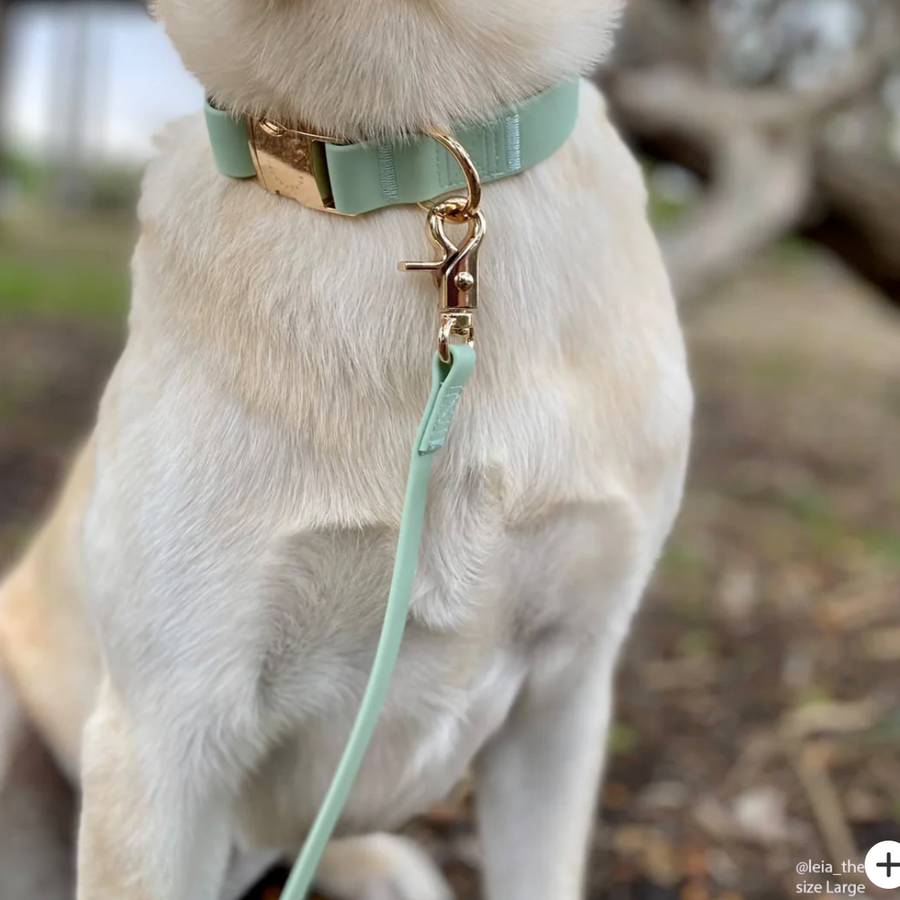Waterproof Cloud Leash