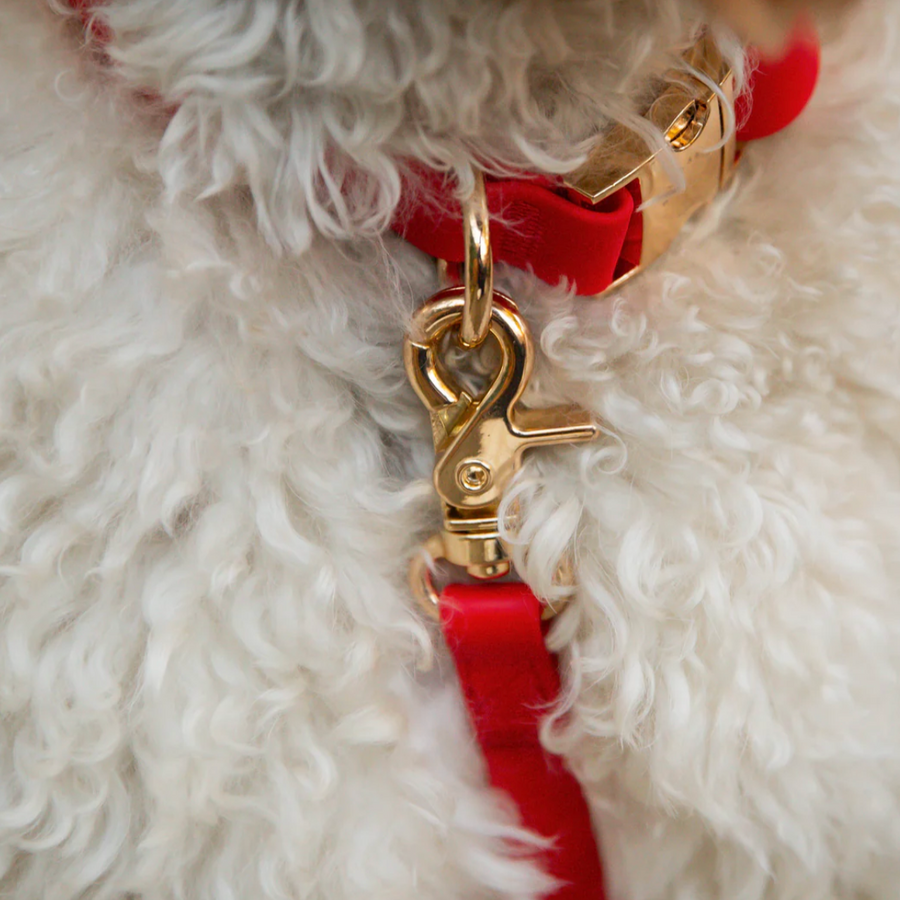 Waterproof Cloud Leash
