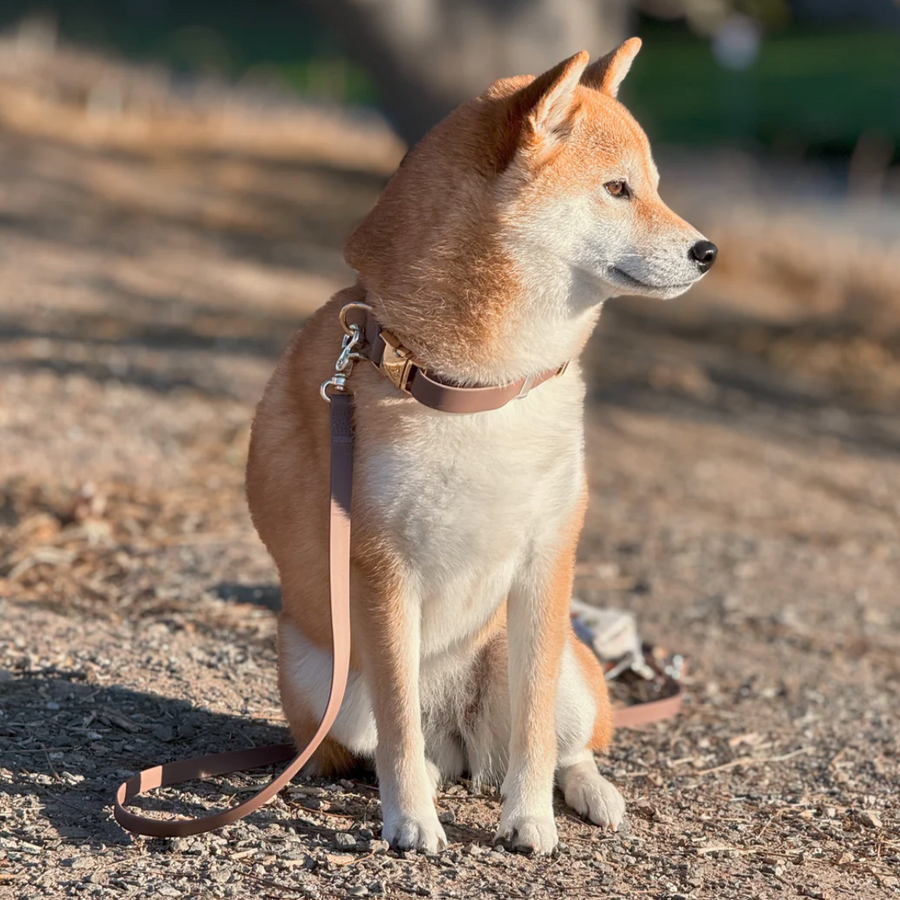 Waterproof Cloud Leash