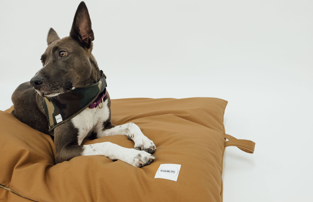 The Cargo Bed
