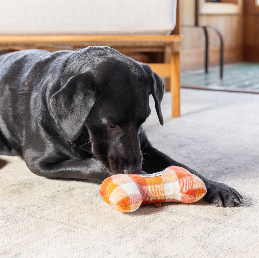 Dog Squeaky Toy