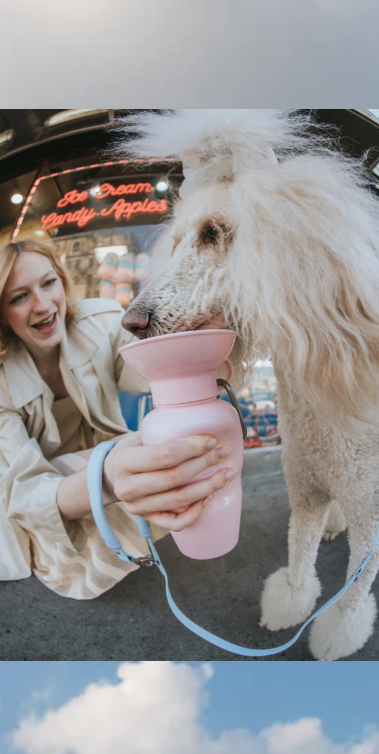 Classic Dog Travel Bottle