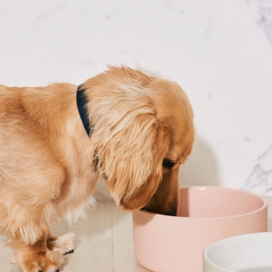 Fable Bowl