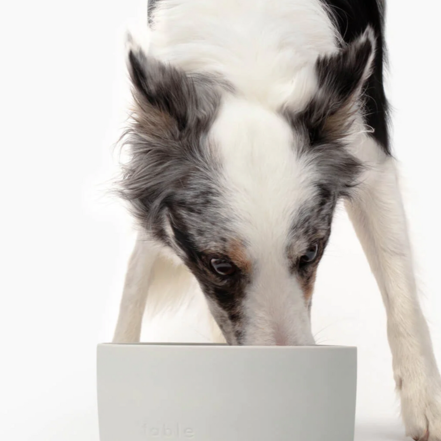 Fable Bowl