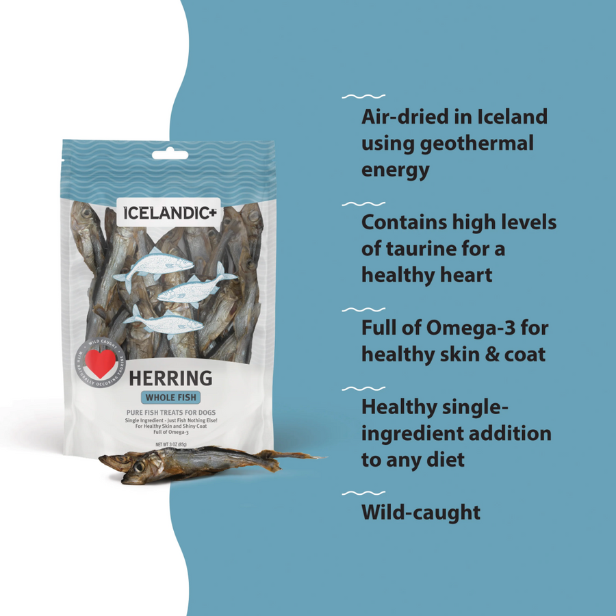 Herring Whole Fish Dog Treats