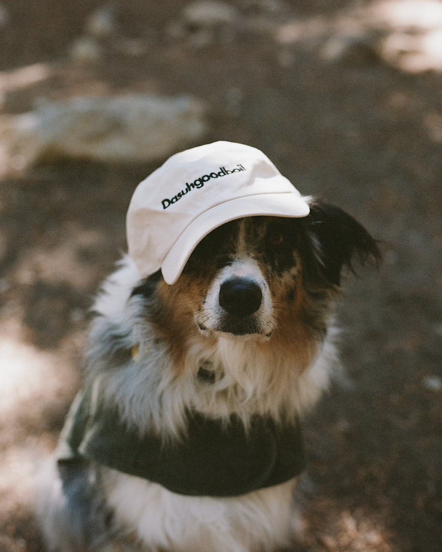 Dasuhgoodboi! Dad Hat