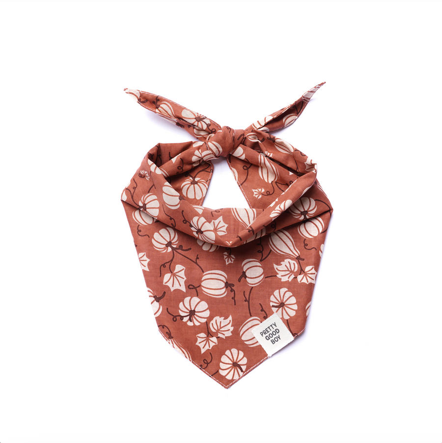 Harvest Fall Dog Bandana