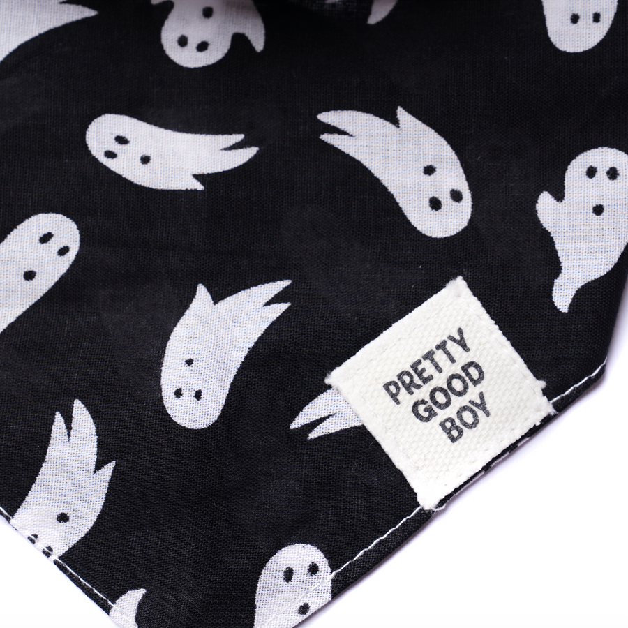 Shadow Halloween Dog Bandana