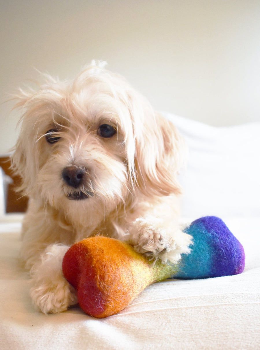 Rainbow Woolbone Dog Toy