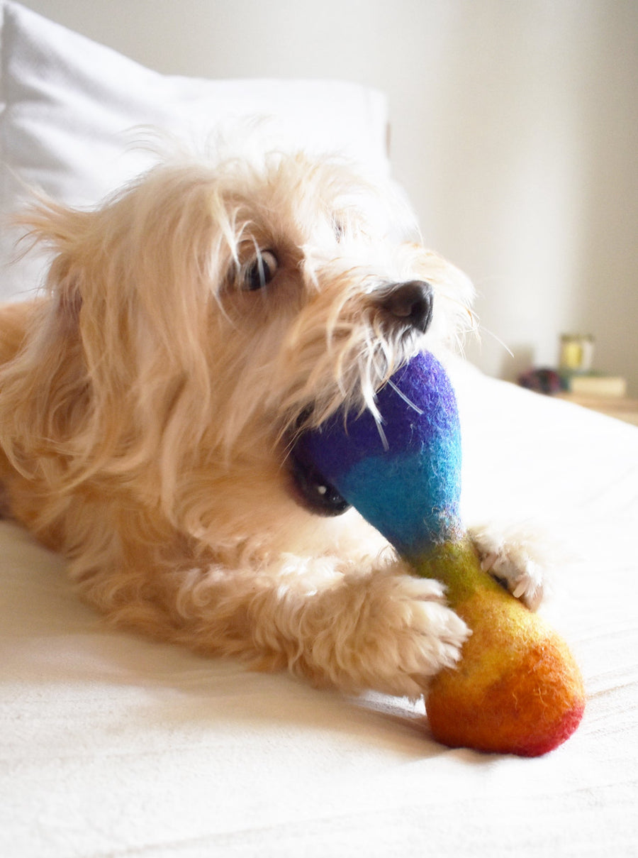 Rainbow Woolbone Dog Toy