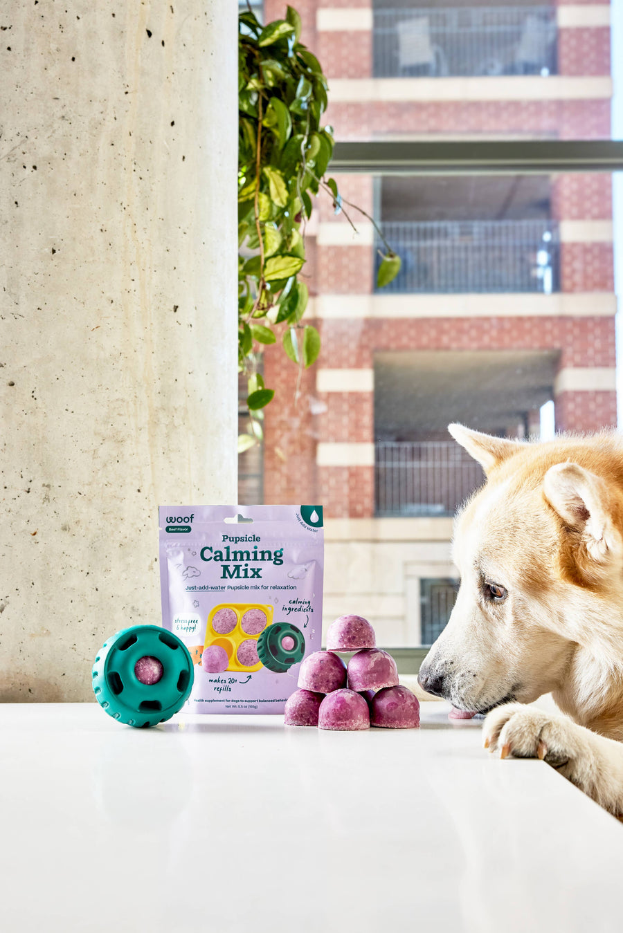 Pupsicle Treat Mix - Calming