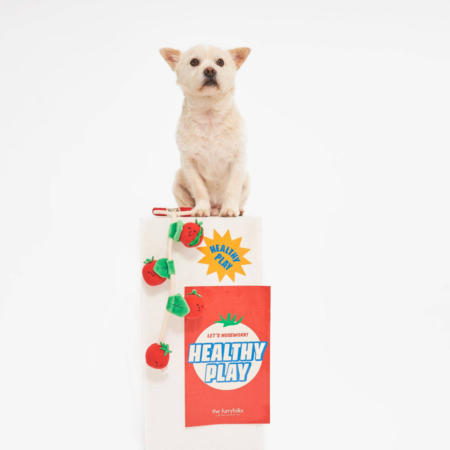 Cherry Tomato Nose Work & Tug Toy