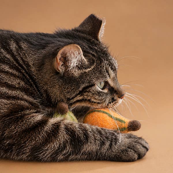 Fall Gourds Wool Cat Toy Set