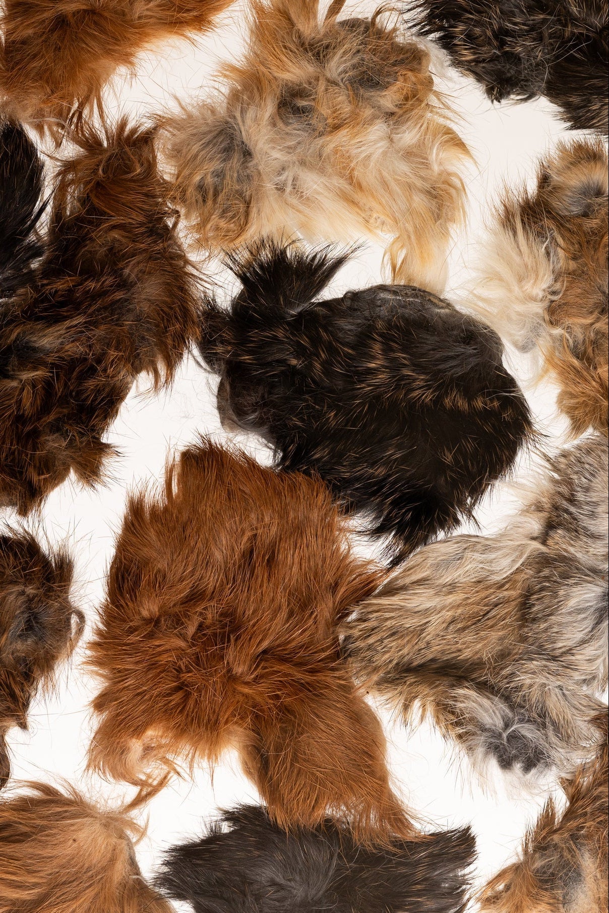 Rabbit Hides