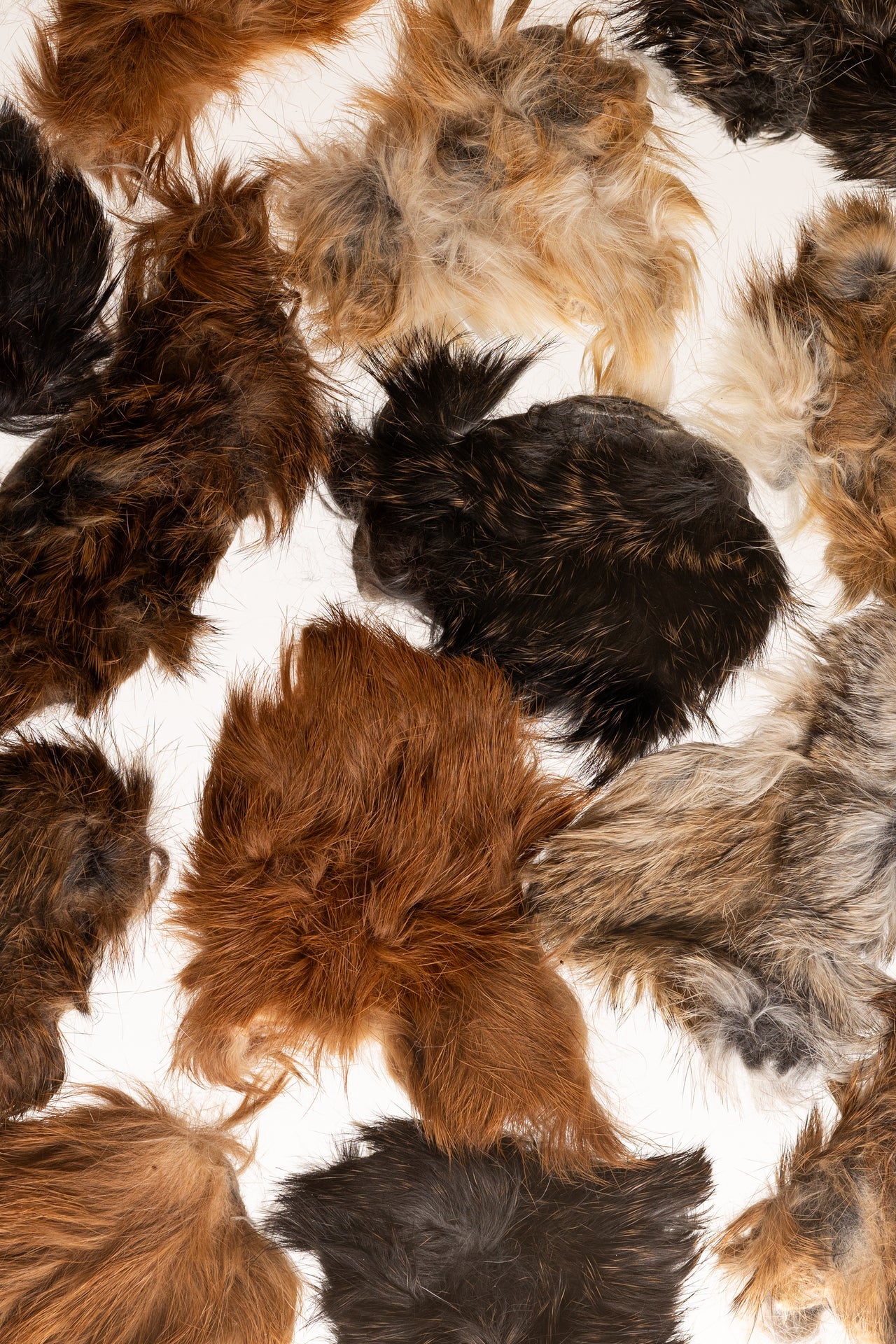 Rabbit Hides