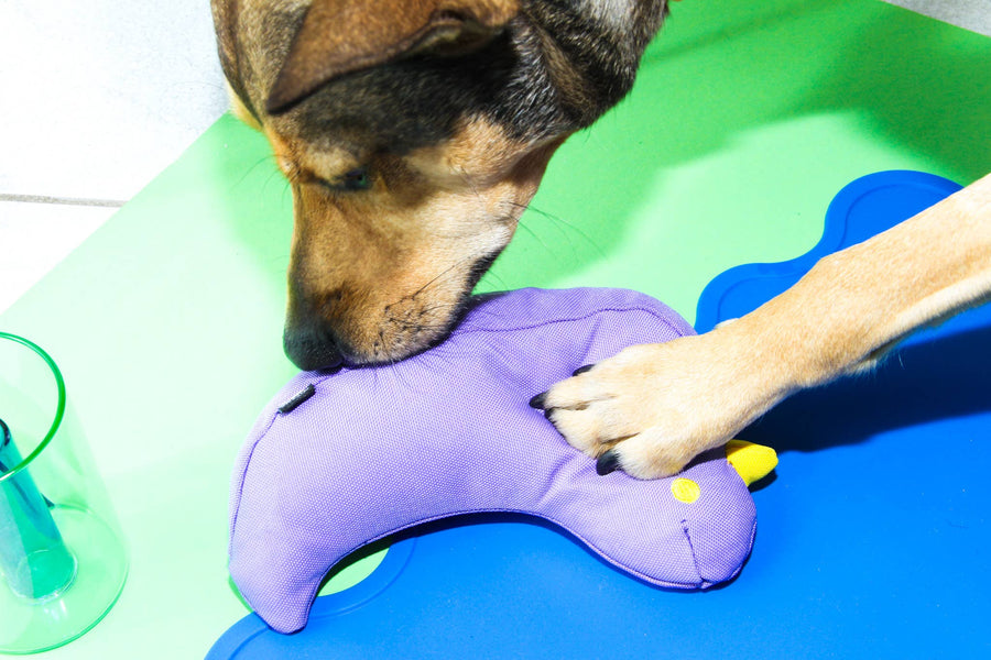 The Fritz Bird Dog Toy