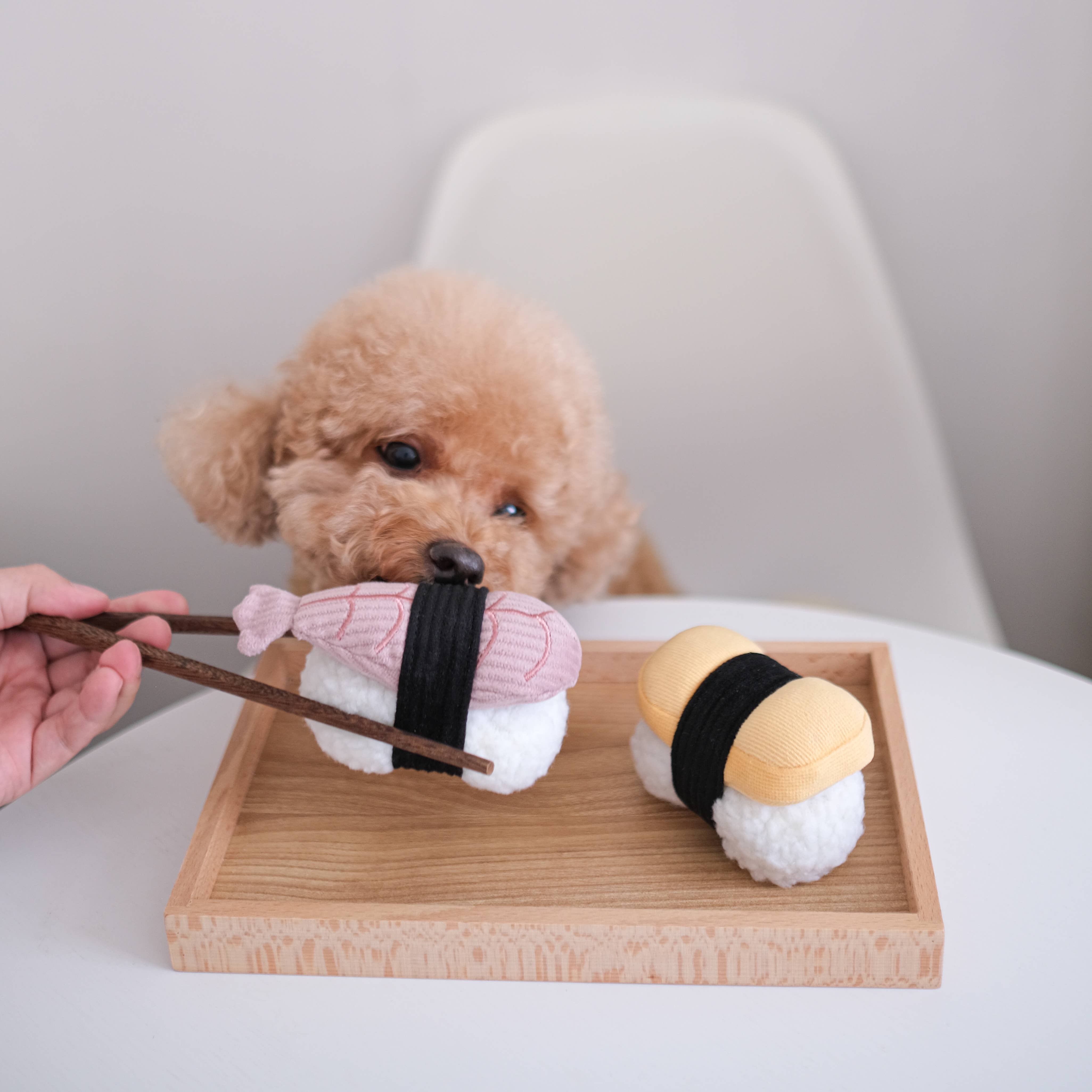 Sushi Enrichment Dog Toy