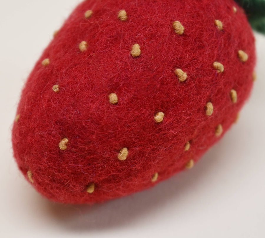Strawberry Wool Dog Toy