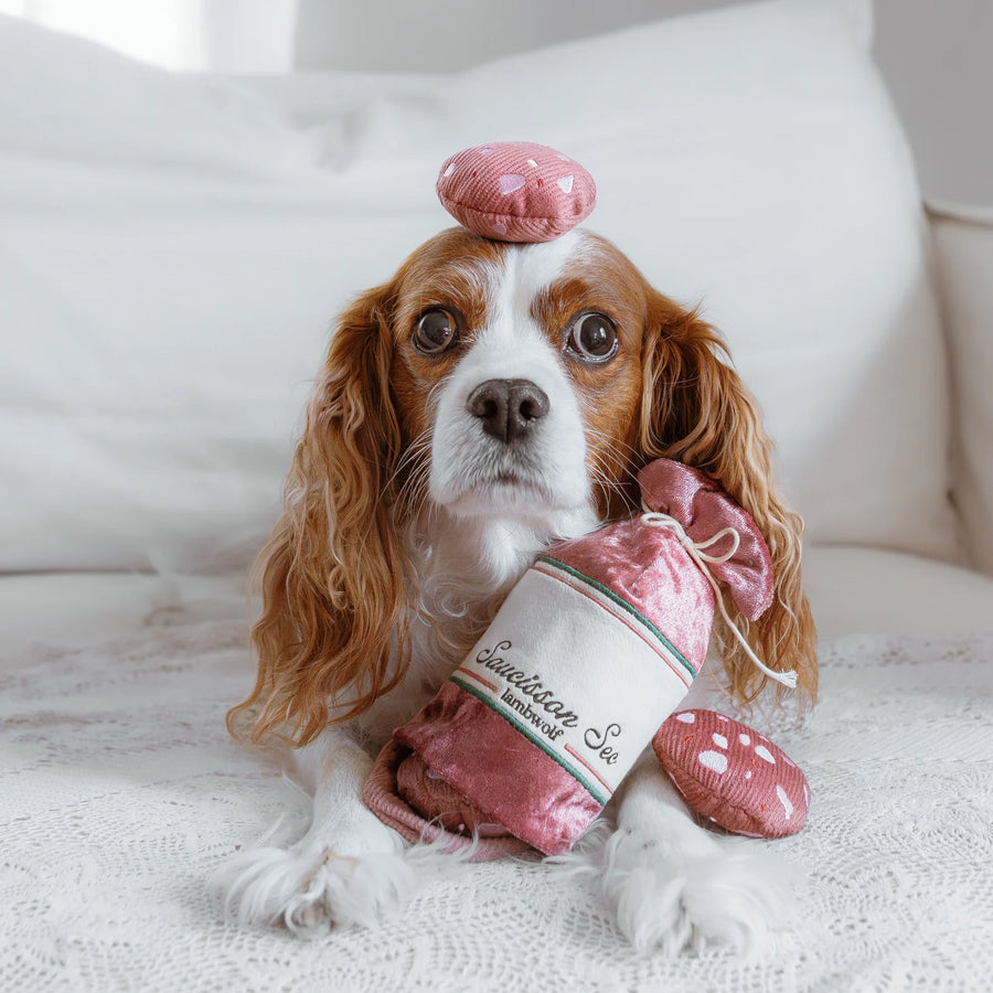 Saucisson Sec Enrichment Dog Toy