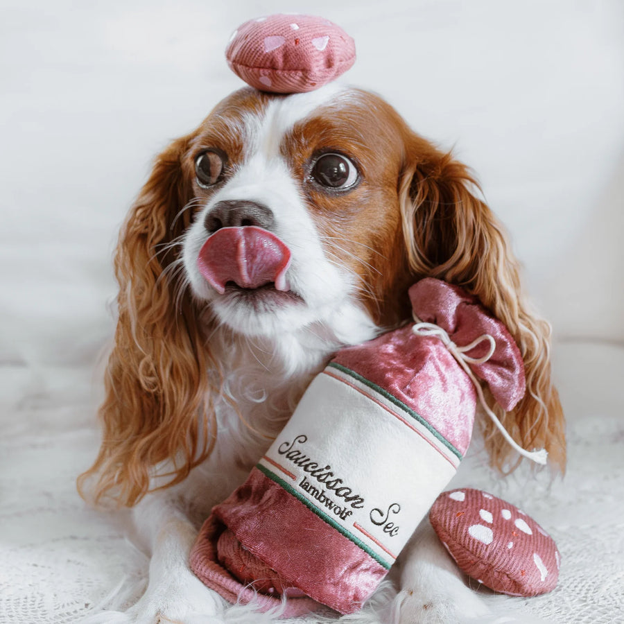 Saucisson Sec Enrichment Dog Toy