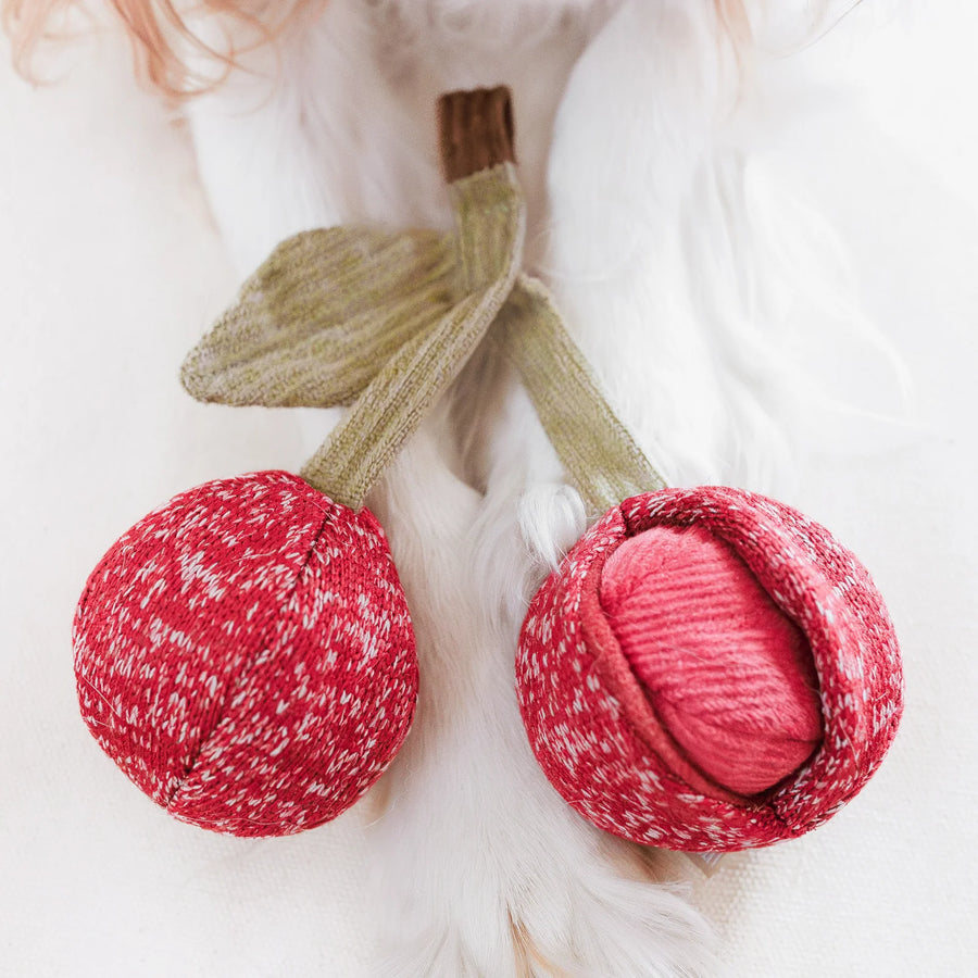 Cherry POP Dog Toy