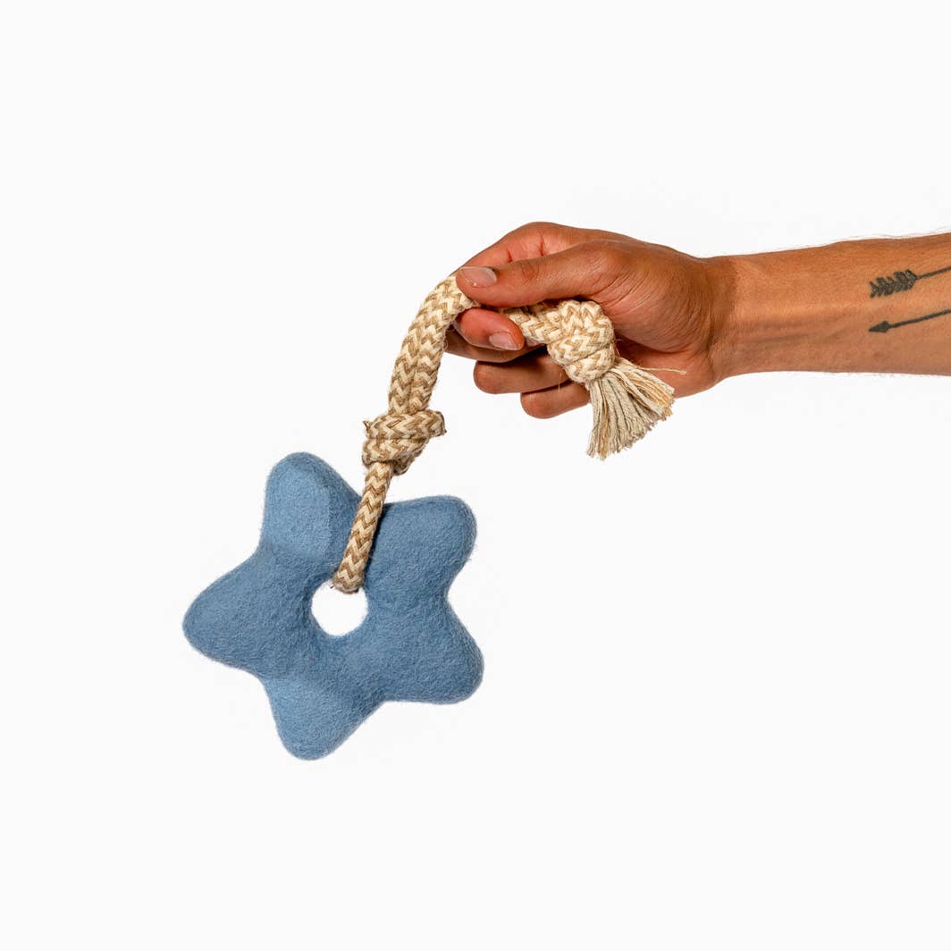 Comet's Tail Felt Dog Toy