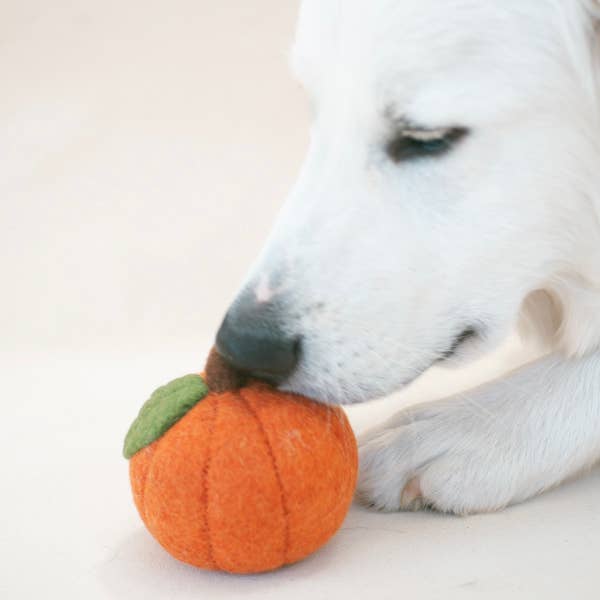 Fall Pumpkin Wool Dog or Cat Toy
