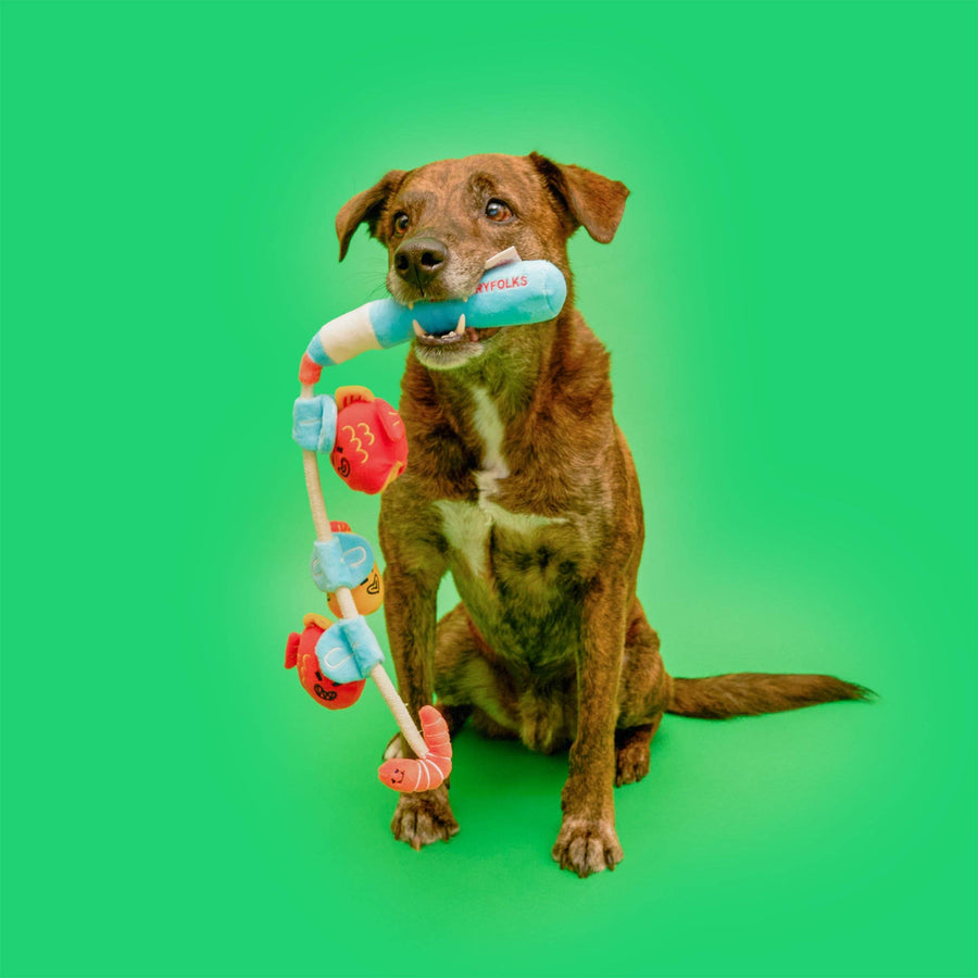 Fishing Nosework & Tug Toy
