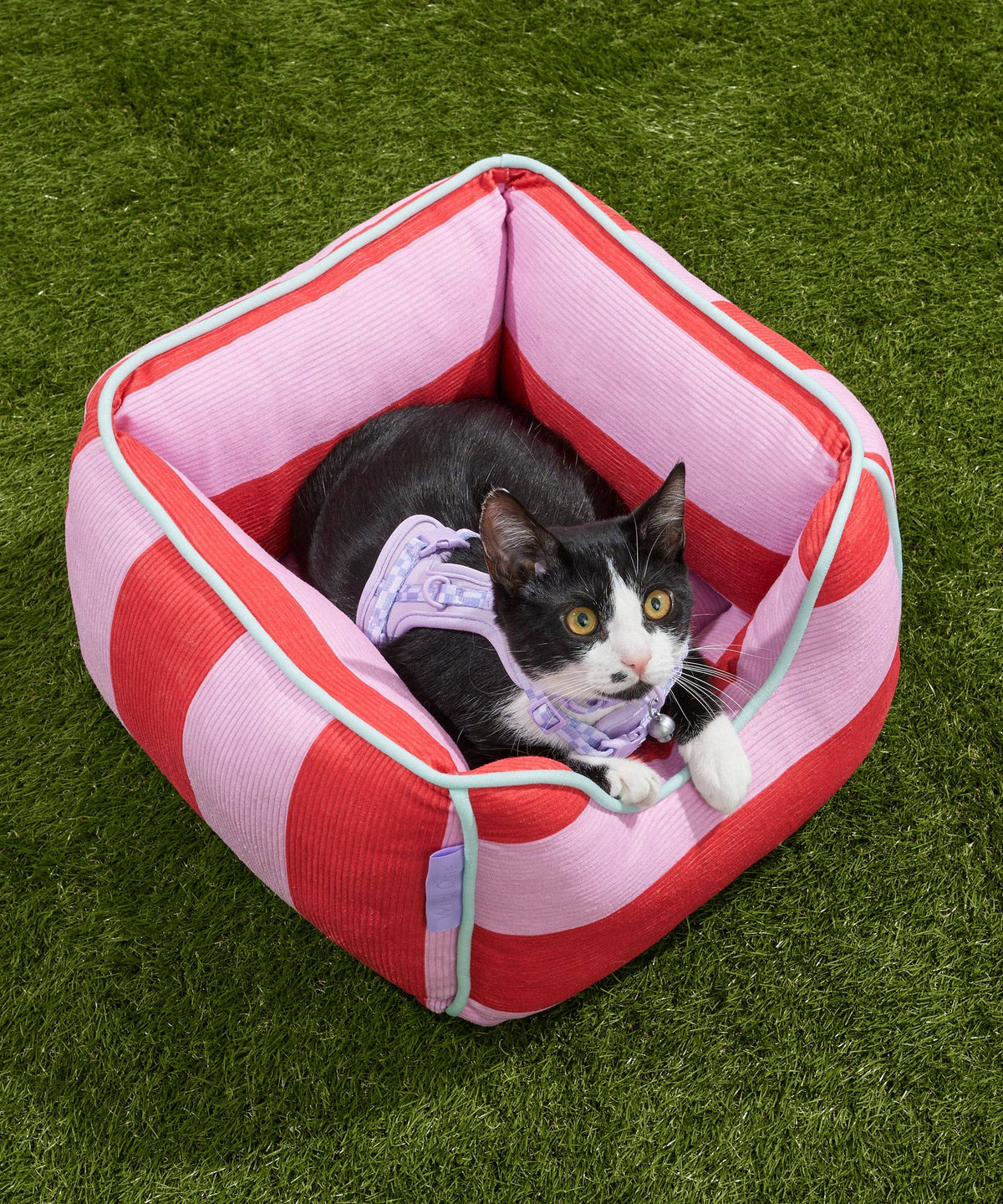 Cat lounging in the Wild One Cat Bolster Bed in Bubblegum on grass