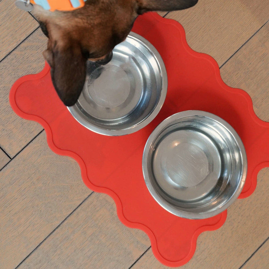The Fritz Dog Bowl Mat