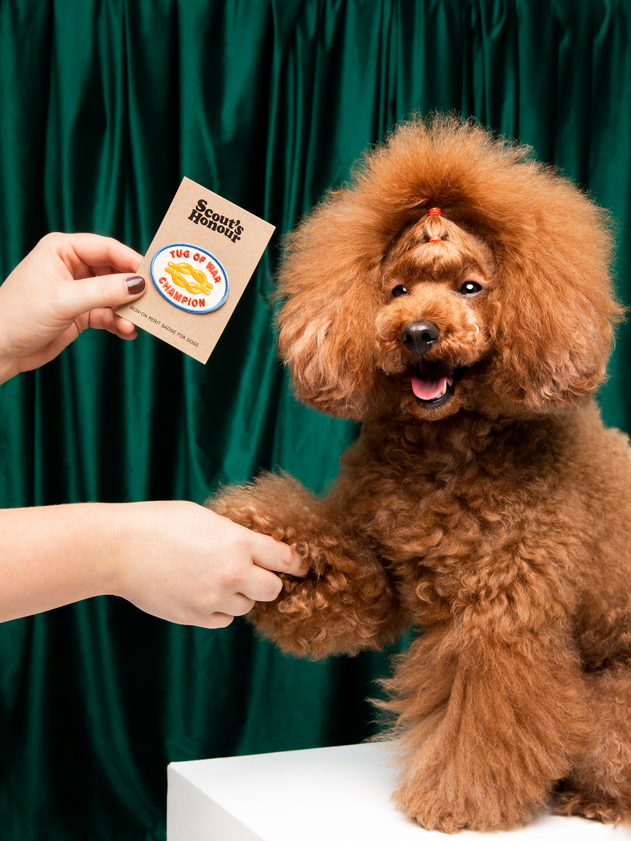 Tug of War Champion Iron-On Patch for Dogs and Cats