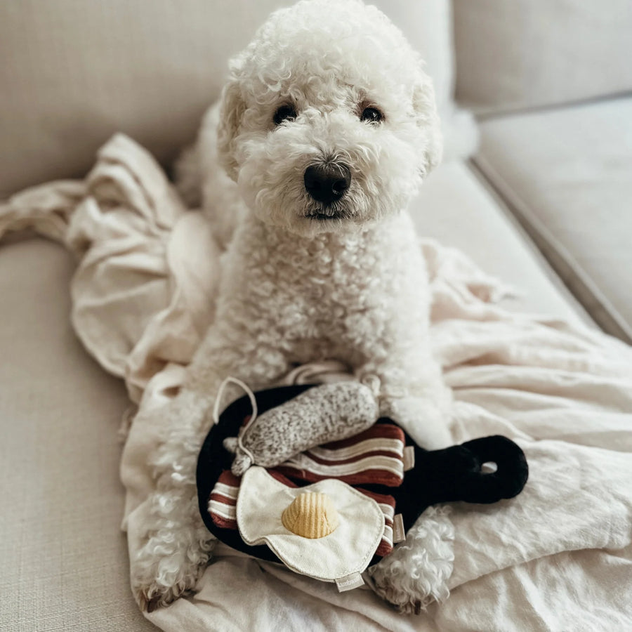 Bfast Set Dog Toy
