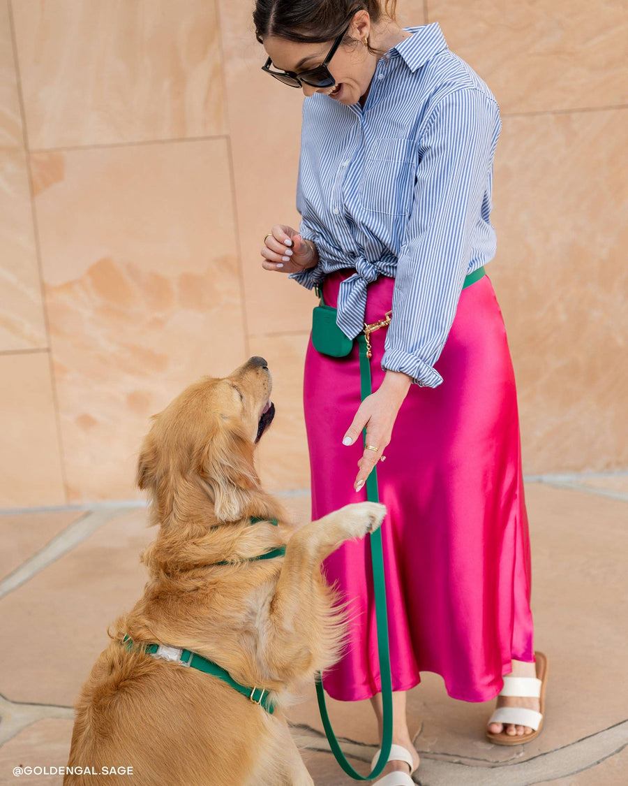Snap Dog Treat Pouch