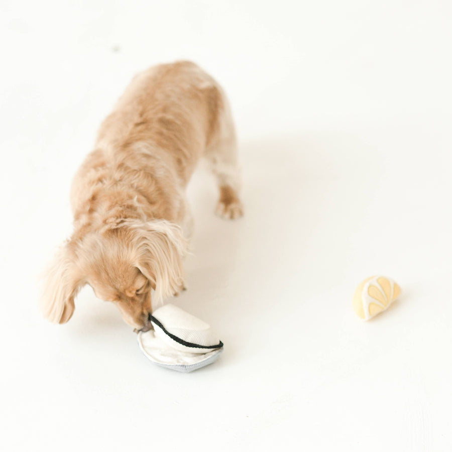 Gillardeau Enrichment Dog Toy