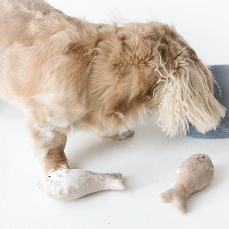 Sardines Dog Toy