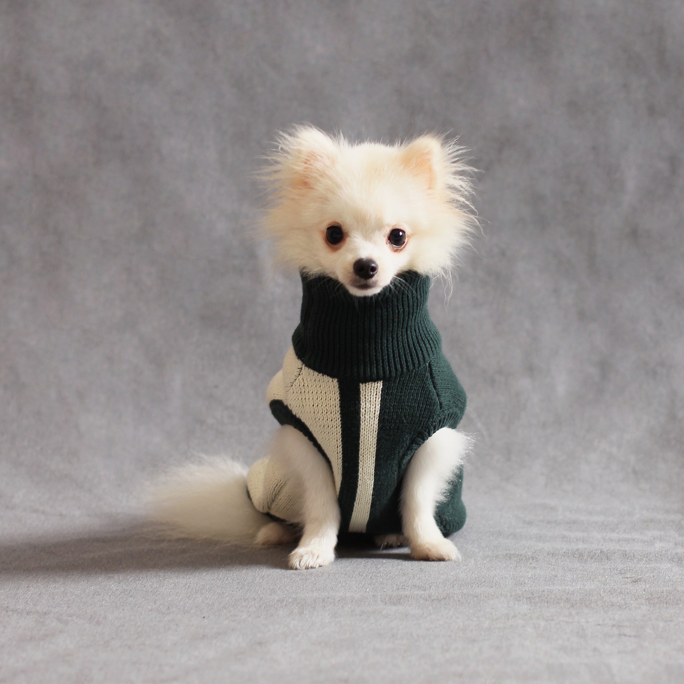pupp st. – Pretty Good Boy