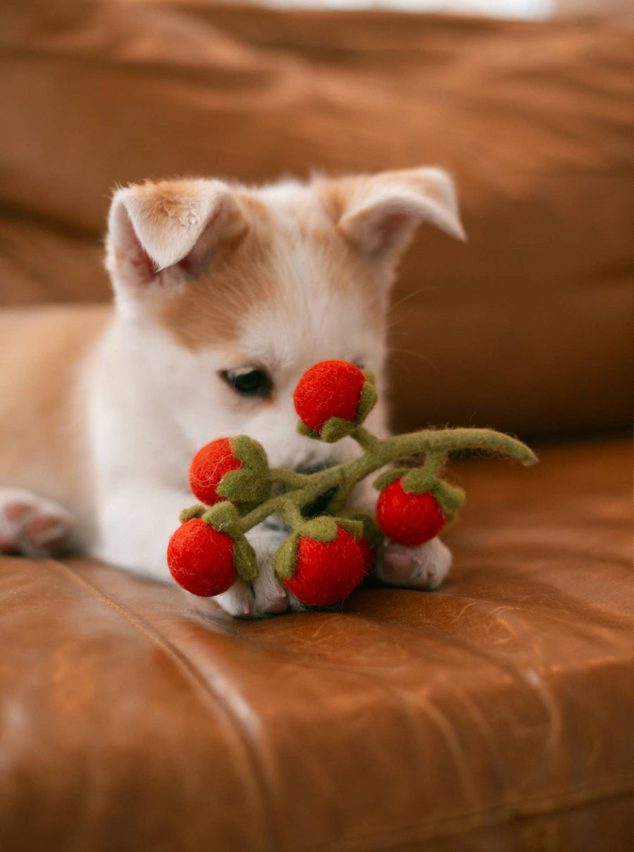 Cherry Tomato Vine Wool Dog & Cat Toy