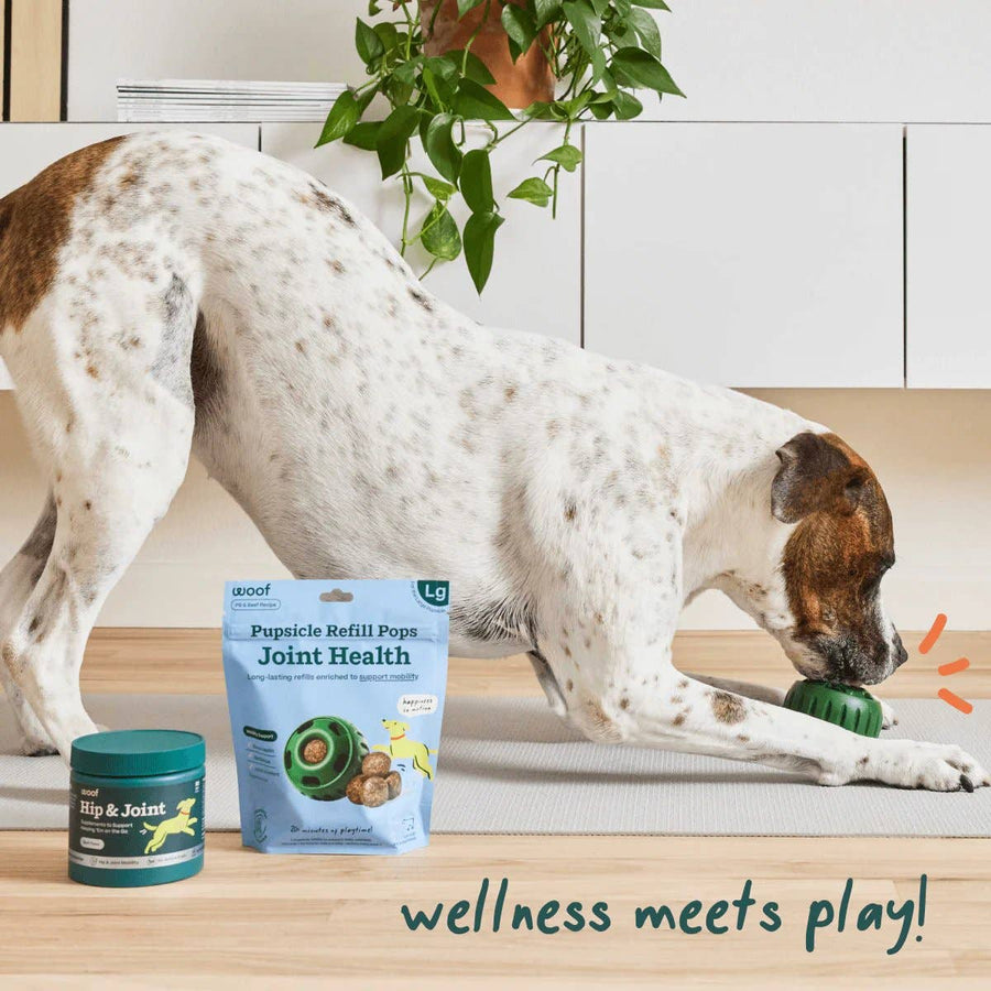 Joint Health Wellness Pops