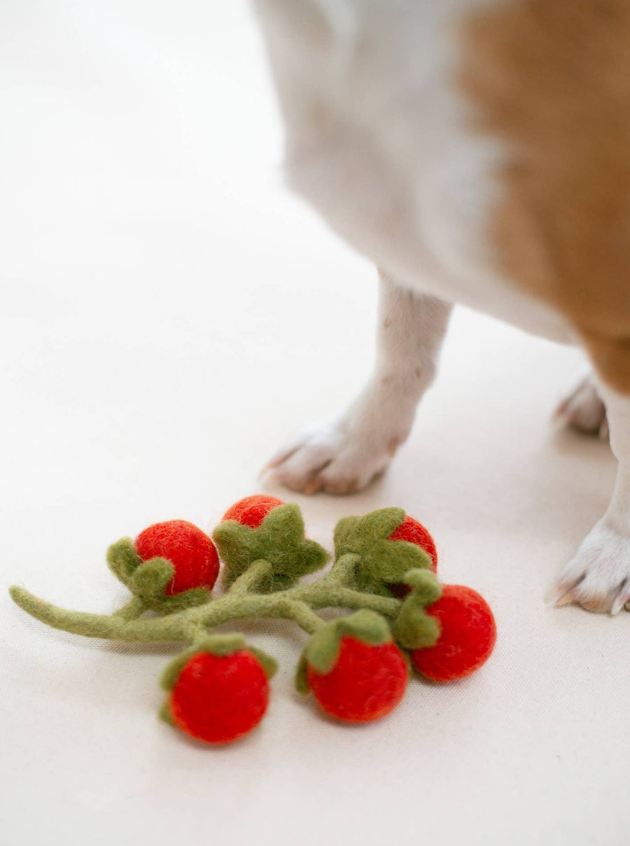 Cherry Tomato Vine Wool Dog & Cat Toy