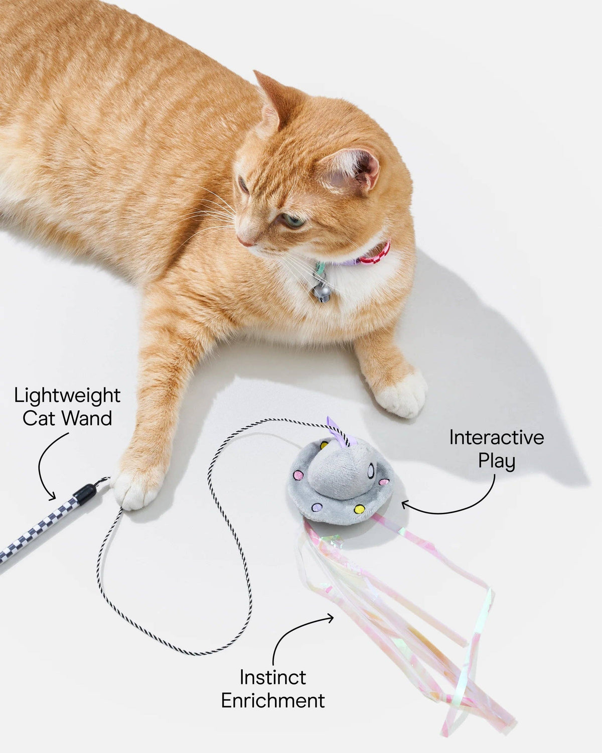 Cat playing with the Wild One Cat Wild Wand, with lightweight wand, interactive play, and instinct enrichment callouts