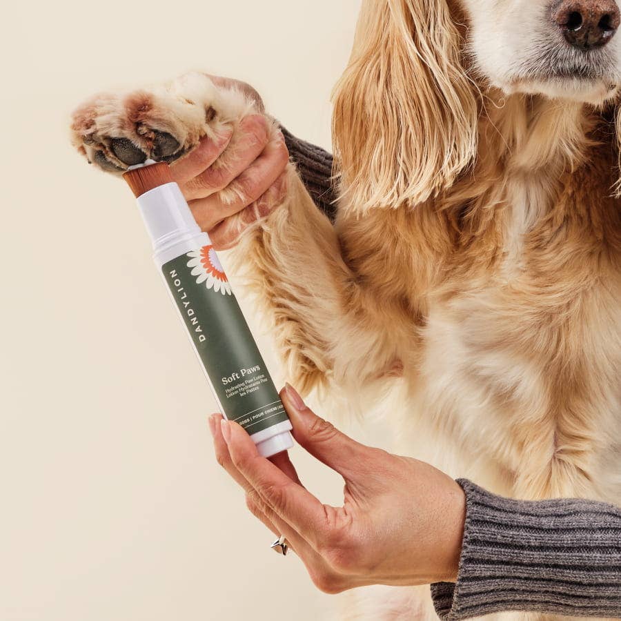 Refill - Soft Paws Hydrating Paw Lotion