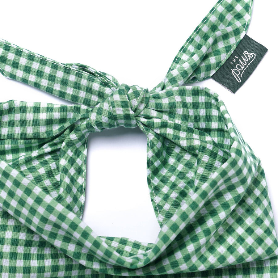 Green Gingham Dog Bandana
