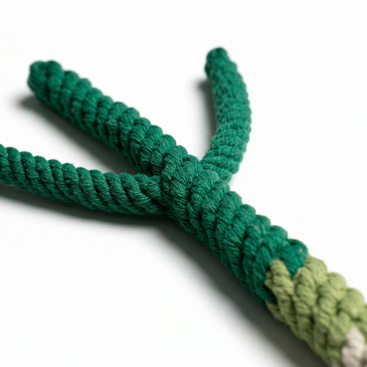 Close-up of the knotted rope leaves and stalk on the Monli Green Onion Tug Rope Toy