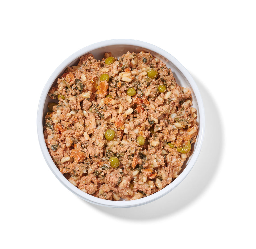 Wally's Salmon N' Rice Human Grade Fresh Wet Food Dog Pouch